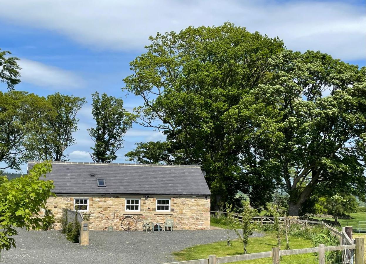 Stay On The Hill - Self Catered Cottages Laverick And Bothy هيكسهام المظهر الخارجي الصورة