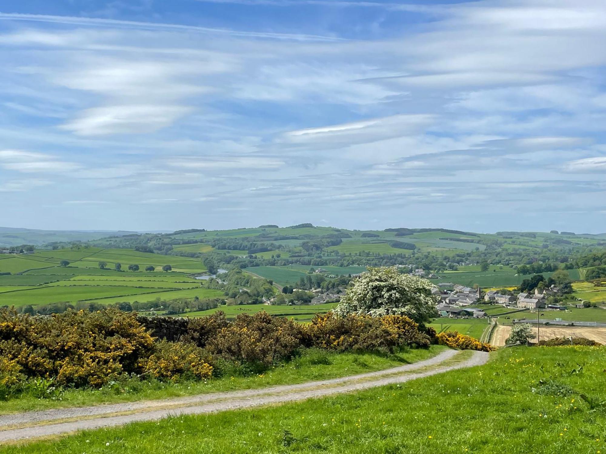 Stay On The Hill - Self Catered Cottages Laverick And Bothy هيكسهام المظهر الخارجي الصورة